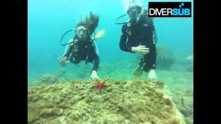 BAUTIZO DE SUBMARINISMO CON CECILIA I FELIX
