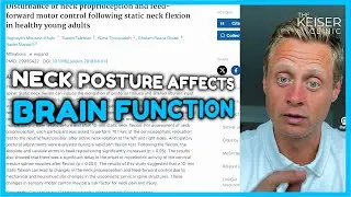 How Neck Posture Impacts Brain Function 