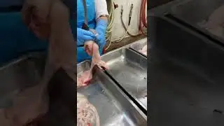 Another Filipina skilled worker. Kidney peeling meat processing