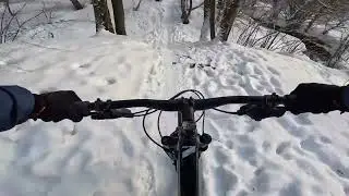 Битца Битцевский лесопарк 05 02 2023