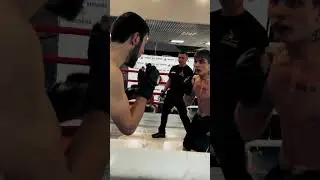Бои поп мма, ожидаемый бой! Финальный выпуск уже на канале! #бои #вершина, #мма,