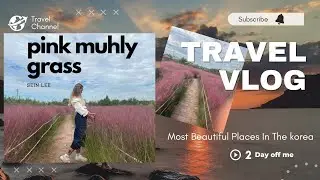 pink muhly grass