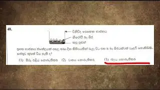 2023 ශිෂ්‍යත්ව විභාගය | II පත්‍රය ප්‍රශ්න හා පිළිතුරු | Grade 5 Scholarship | II Paper