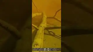 #dayz
