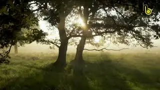 MOTIVATIONAL STORY OF A FROG 🐸 | مینڈک کی کہانی