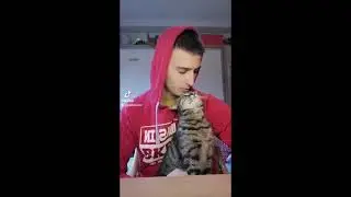 Los Video Más Virales de mi Gata! - PATE 2