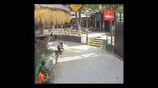 Green Mango Bike Crash 
