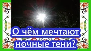 Причудливые тени проявляются в Полночь. О чём мечтают Ночные Тени?