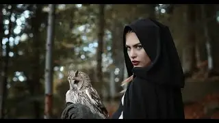 Medieval Dinasty - A historia de Kestrel - Esse jogo é mais do que você imagina