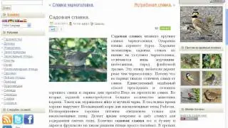Защита контента от воровства.
