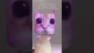 meme of the second #memes #memeoftheweek #funnypictures #funny #funnymemesoftheday #memefunny
