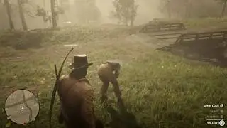 RDR2 - 