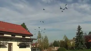 Pocztowe - poranny trening