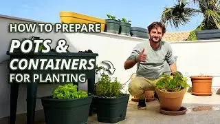 Balcony Vegetable Gardening :  How to prepare pots & containers to grow your organic Food 💚