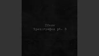 Зебра