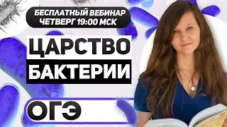 БАКТЕРИИ