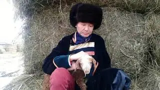 6 серия Приключения Штыря в Тунке