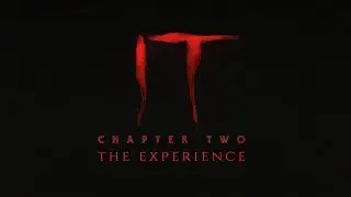 IT: The Experience