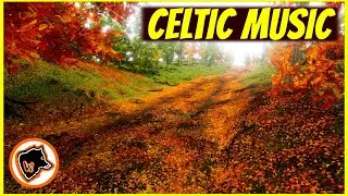 1 hour RELAXING CELTIC MUSIC | FOREST ENVIRONMENTS