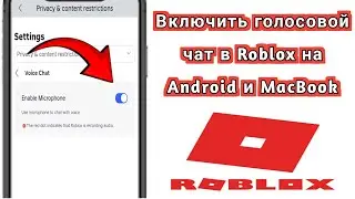 Как включить голосовой чат в Roblox всего за 2 минуты (PS5/XBOX/PC)