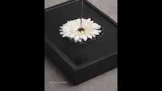 The End - Behind The Scenes #shorts