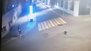 СУЕВЕРНАЯ БАБКА И КОТ
