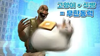 무한동력을 만든 탈모탄조