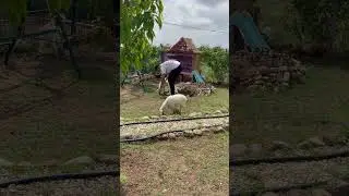 28 Nisan bahçeden