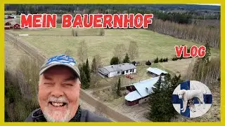 Back to the roots: My dream of living on a Finnish farm comes true