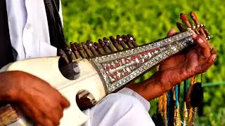 Rubab Instrument music | Rubab song | Rubab Beats