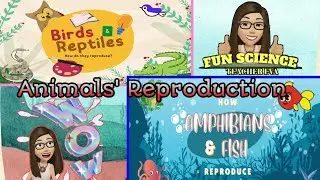 Animals' Reproduction – How Birds and Reptiles Reproduce & How Fish and Amphibians Reproduce