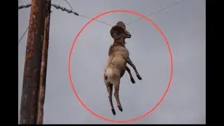 20 mysterious photos that no one could explain.
