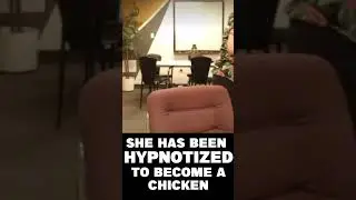 The hypnotist is hypnotized to become a chicken! 