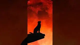 Wolf howling sounds (Howling at the Moon)