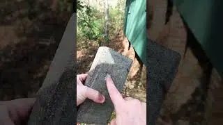 Rifle vs pistol lethality test 22lr