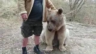 Wayne Howlett vs Russian Bear
