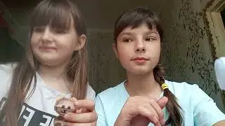3 июня 2023 г.