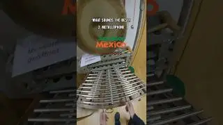 Avocados from Mexico in a Museum 