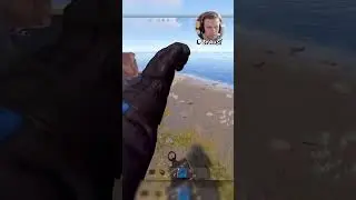 Quick Counter Raid #rust #shorts #trausi