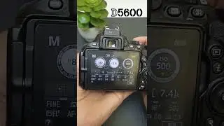 Nikon D5600 exposure 