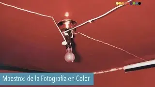 Find inspiration in the Masters of a photo color