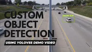 Custom Object Detection Using YOLOv5s Demo Video