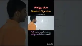 Stomach digestion And esophagus#shorts #trending #ytshorts