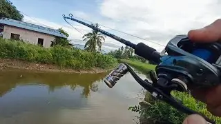 #EP1273