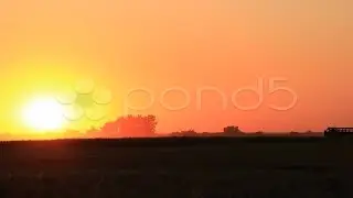 Summer Wheat Harvest. Stock Footage