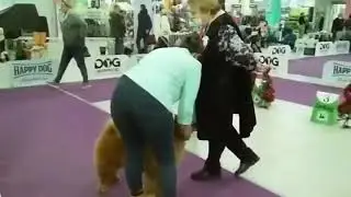27 декабря 2020 г.