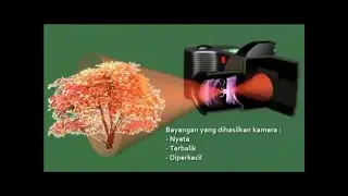 Cara kerja kamera DSLR |