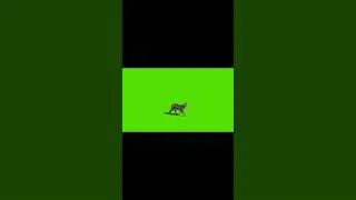 green screen kucing berjalan 