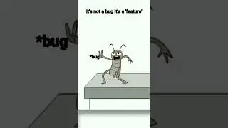 it is not a bug it is a feature 