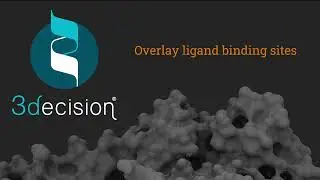 How to overlay ligand binding sites in 3decision